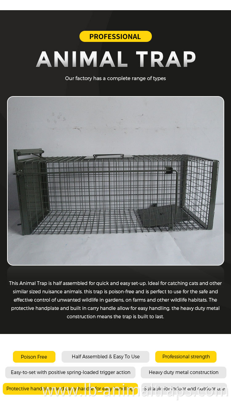 Animal Raccoon Trap